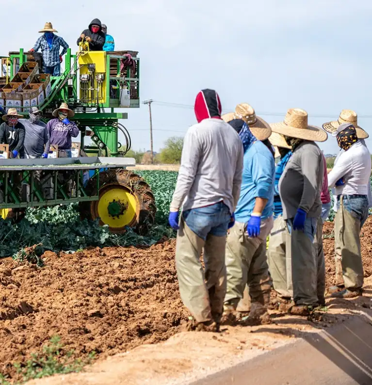 agrixco