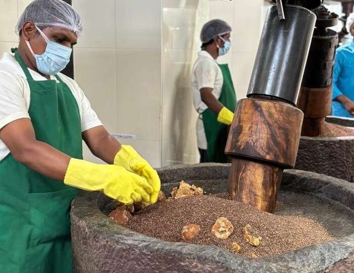 Value-Added Sesame Oil for Global Markets