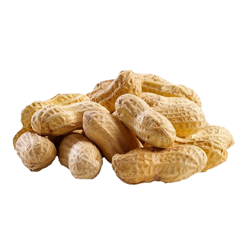 Groundnuts (Peanuts)