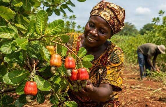 Responsible Agricultural Sourcing